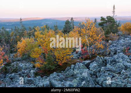 Ein Blick von einem felsigen ISO Pyhätunturi-Gipfel an einem Herbstmorgen im Salla-Nationalpark in Nordfinnland Stockfoto