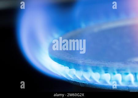 Symbolisches Bild, Gasflamme, Gaskocher, Erhöhung des Gaspreises, Energie, Energiekosten Stockfoto