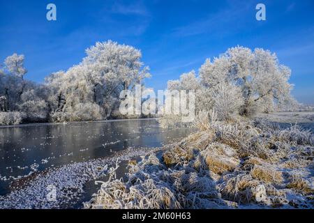 Flusslandschaft mit Heifrost und Eis, Eder, Guxhagen, Hessen, Deutschland, Europa Stockfoto