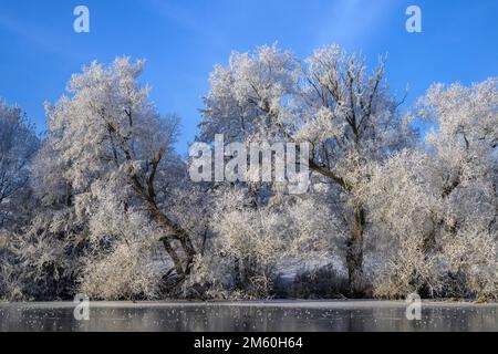 Flusslandschaft mit Heifrost und Eis, Eder, Guxhagen, Hessen, Deutschland Stockfoto