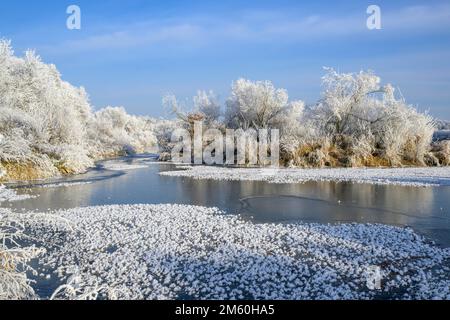 Flusslandschaft mit Heifrost und Eis, Eder, Guxhagen, Hessen, Deutschland Stockfoto