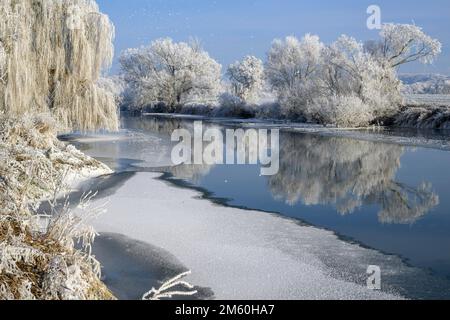 Flusslandschaft mit Heifrost und Eis, Eder, Guxhagen, Hessen, Deutschland Stockfoto