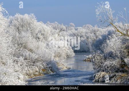 Flusslandschaft mit Heifrost und Eis, Eder, Guxhagen, Hessen, Deutschland Stockfoto