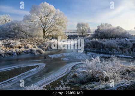 Flusslandschaft mit Heifrost und Eis, Eder, Guxhagen, Hessen, Deutschland Stockfoto