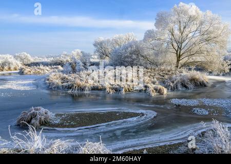 Flusslandschaft mit Heifrost und Eis, Eder, Guxhagen, Hessen, Deutschland Stockfoto