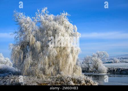 Flusslandschaft mit Heifrost und Eis, Eder, Guxhagen, Hessen, Deutschland Stockfoto