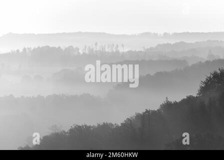 Blick über Täler und bewaldete Höhen in dichtem Nebel am frühen Morgen, schwarz-weiß, Naturpark Arnsberg-Wald, Nordrhein-Westfalen, Deutschland Stockfoto