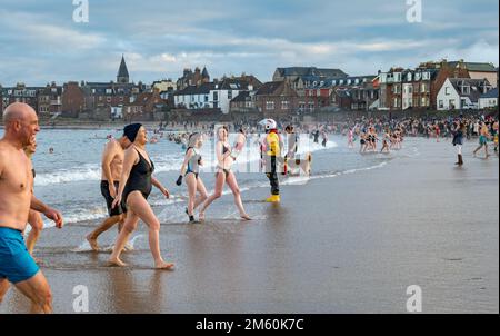 North Berwick, East Lothian, Schottland, Vereinigtes Königreich, 1. Januar 2023, Loony Dook: Das jährliche Dip im Firth of Forth in West Bay in der Küstenstadt mit Hunderten von Teilnehmern. Credit Sally Anderson/Alamy Live News Stockfoto