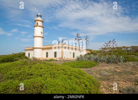 Der Leuchtturm Far des Cap de ses Salines an der Südspitze von Mallorca, Ses Salines, Mallorca, Spanien Stockfoto