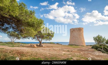 Wachturm Torre de Cala Pi, Cala Pi, Mallorca, Spanien Stockfoto