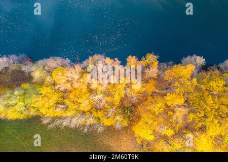 Farbenfrohe Bäume und blaues Wasser im Herbst. Luftaufnahme von der Drohne. Stockfoto