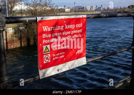 Birkenhead, UK: Warnschild „Verweilen verboten“, Morpeth Dock. Blaue grüne Algen vorhanden. Mögliche Gesundheitsschäden. Schlechte Wasserqualität. Nicht schwimmen. Stockfoto