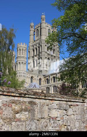 Ely Cathedral (Kathedrale der Heiligen und ungeteilten Dreifaltigkeit), Westturm, Ely, Cambridgeshire Stockfoto