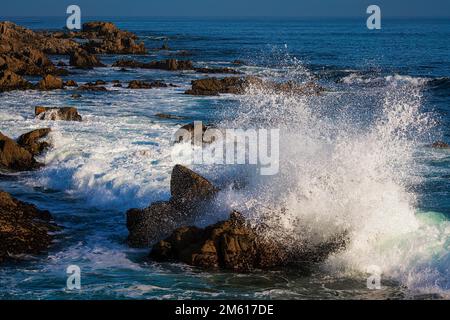 Monterey, Kalifornien, lockt mit Wellen an der felsigen Küste von Pacific Grove Stockfoto