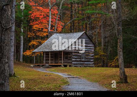 Herbstblick auf die Carter Shields Hütte im Cades Cove Abschnitt des Great Smoky Mountain National Park in Tennessee Stockfoto