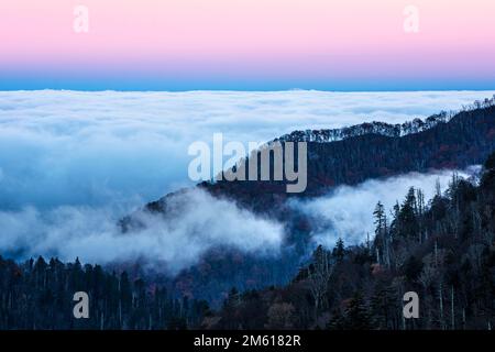 Rosafarbener und blauer Sonnenaufgang mit Nebel am Ben Morton Overlook im Great Smoky Mountain National Park in Tennessee Stockfoto