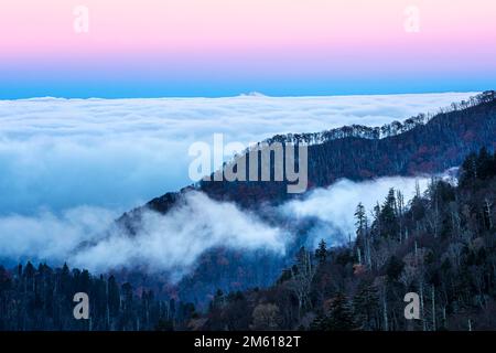 Rosafarbener und blauer Sonnenaufgang mit Nebel am Ben Morton Overlook im Great Smoky Mountain National Park in Tennessee Stockfoto