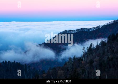 Rosafarbener und blauer Sonnenaufgang mit Nebel am Ben Morton Overlook im Great Smoky Mountain National Park in Tennessee Stockfoto