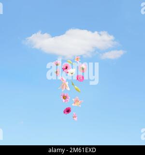 Farbenfrohe Sommerblumen, die aus der weißen, flauschigen Wolke fliegen. Blauer Himmelshintergrund. Surreales ästhetisches Naturkonzept im Freien. Sonnige Regen-Idee. Stockfoto