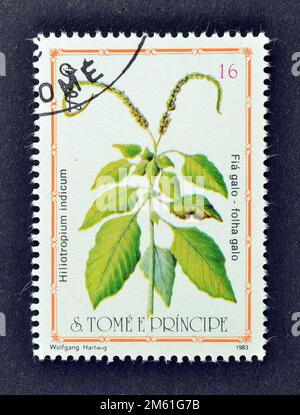 Stempel mit Stempelabdruck von São Tomé und Príncipe , auf dem die indische Heliotrope (Hiliotropium indicum), ca. 1983, zu sehen ist. Stockfoto