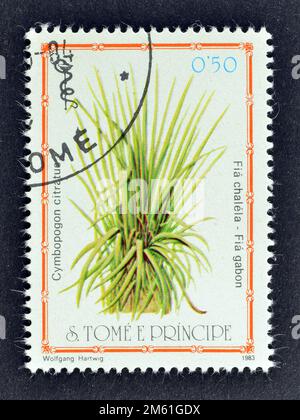 Stempel mit Stempel, gedruckt von São Tomé und Príncipe , auf dem Zitronengras (Cymbopogon citratus), ca. 1983, zu sehen ist. Stockfoto