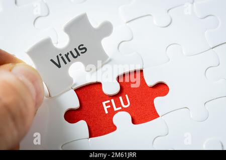 Influenza-Virus, akute saisonale, Herbst-Winter-Krankheit, verursacht durch Influenza-Virus Typ A oder B. Gesundheitsgefährdend, Gesundheitskonzept, Schriftzug auf Puzzl Stockfoto