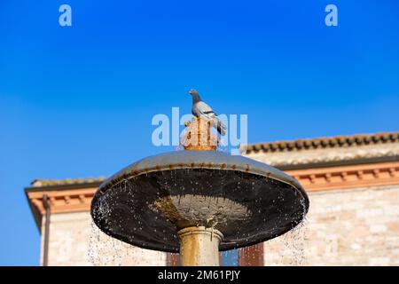 Fontana dei Tre Leoni, ein historischer Brunnen auf der Piazza del Comune Corso und Giuseppe Mazzini in Assisi in der Stadt Assisi in Perugia Stockfoto