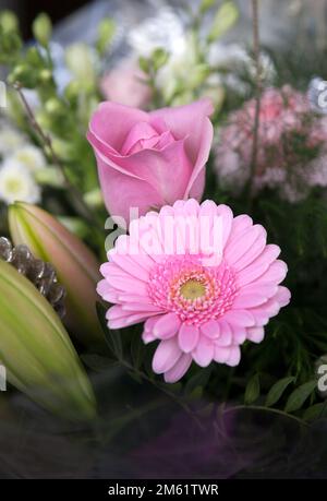 Blumenstrauß mit Lilien, Rose und Gerbera in Pink. Stockfoto