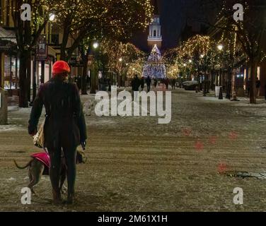 Frau mit Hund sieht Weihnachtsbaum und Straße beleuchtet für die Feiertagssaison am Abend Stockfoto