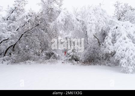 Starker Schneefall schafft ein Winterwunderland Stockfoto