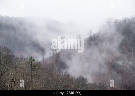 Der frühmorgendliche Nebel erhebt sich über einem Tal in der zentralen Appalachen. Stockfoto