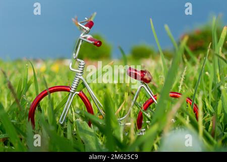 Kleines rotes Spielrad auf Gras. Stockfoto