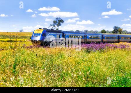 Intercity-Zug für Langpassagiere in Australien auf Central West Meadows. Stockfoto
