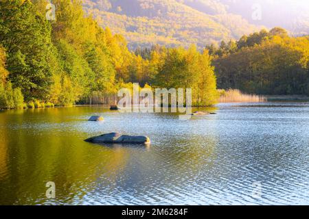 Herbst Buchenwald Reflecter im Wasser. Isergebirge Buchenwald, Tschechische Republik Stockfoto