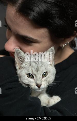 Die niedliche Tabby Cat liebt es, während man sie festhält, umarmt zu werden. Stockfoto