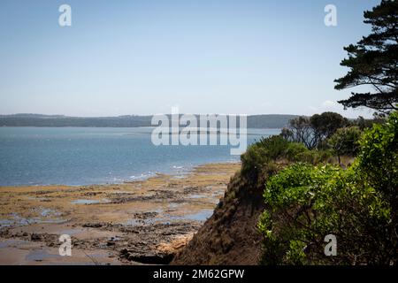 Corinella, Coronet Bay, Australien, Victoria Stockfoto