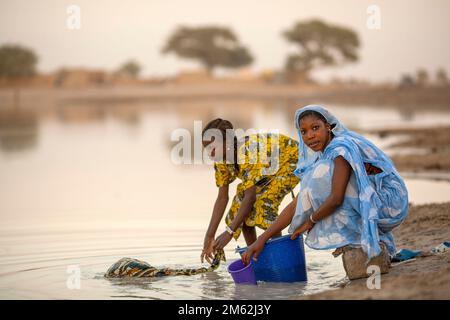 Junge Frau holt Trinkwasser in einem kleinen See in Léré, einer kleinen Stadt und ländlichen Gemeinde des Cercle Niafunké in der Region Timbuktu. Stockfoto