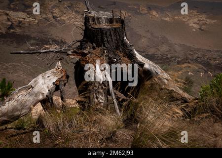 Corinella, Coronet Bay, Australien, Victoria Stockfoto