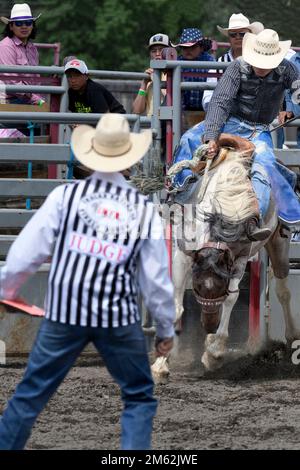 Sattelbronc-Reiter beim Tsuut’ina Nation Rodeo, Alberta, Kanada Stockfoto