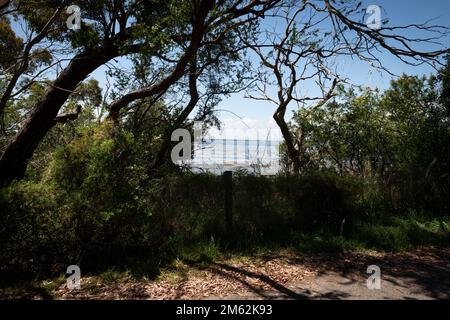 Corinella, Coronet Bay, Australien, Victoria Stockfoto