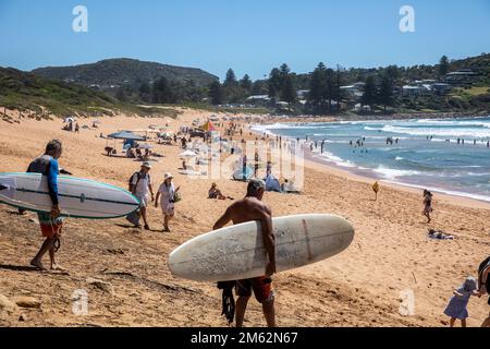 Zwei ältere grauhaarige Männer mittleren Alters tragen ihre Surfbretter in Avalon Beach, Sydney, Australien Stockfoto