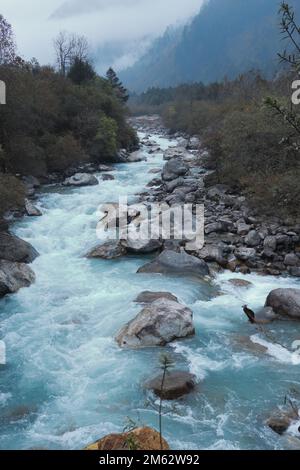 Der wunderschöne fluss lachung fließt durch das malerische Bergtal von lachung in sikkim, indien Stockfoto