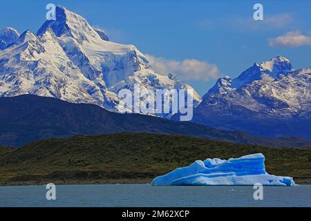 Argentinischer See, schneebedeckte Berge und Eisberge, Landschaft Patagoniens, Argentinien Stockfoto