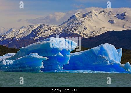 Argentinischer See, schneebedeckte Berge und Eisberge, Landschaft Patagoniens, Argentinien Stockfoto