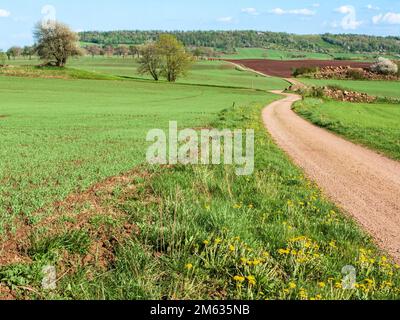 Kurvige Feldstraße in der Landschaft Stockfoto