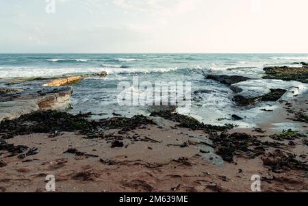 Schäumende Wellen am nassen Sandstrand, bedeckt mit Seetang an stürmischen Tagen in Sizilien, Italien Stockfoto