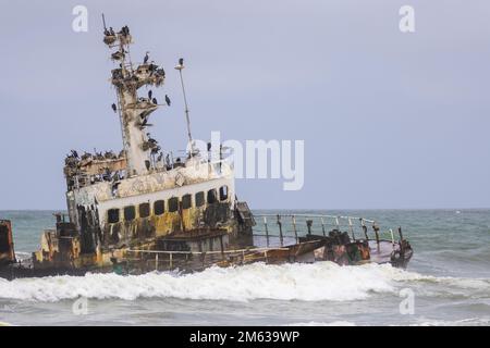 Viele Kormorane sitzen auf dem verlassenen Schiffswrack eines gestrandeten Zeila-Schiffes an der Skeleton-Küste nahe Swakopmund in Namibia Stockfoto