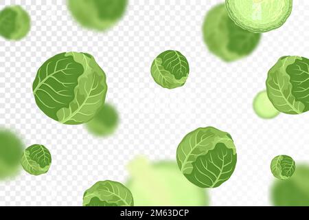 Kohlhintergrund. Fliegender oder fallender Frischkohl, isoliert auf transparentem Hintergrund. Kann für Werbung, Verpackung, Banner, Poster, Druck verwendet werden. Stock Vektor
