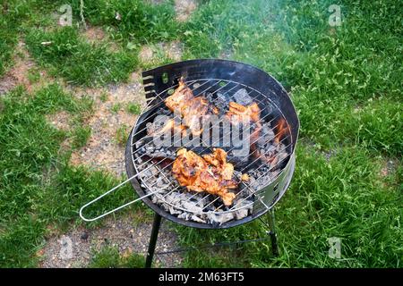 Verschiedene köstliche gegrillte Fleisch über die Kohlen im Grill Stockfoto