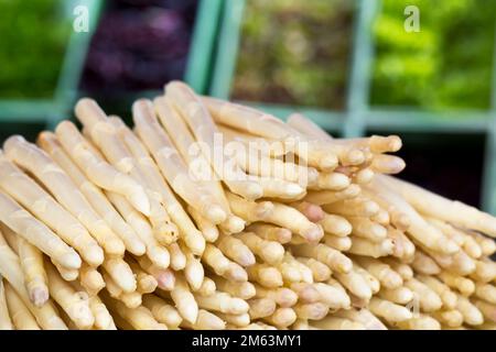 Frischer weißer Spargel auf einem lokalen Markt mit regionalen Bio-Lebensmitteln in Deutschland Stockfoto